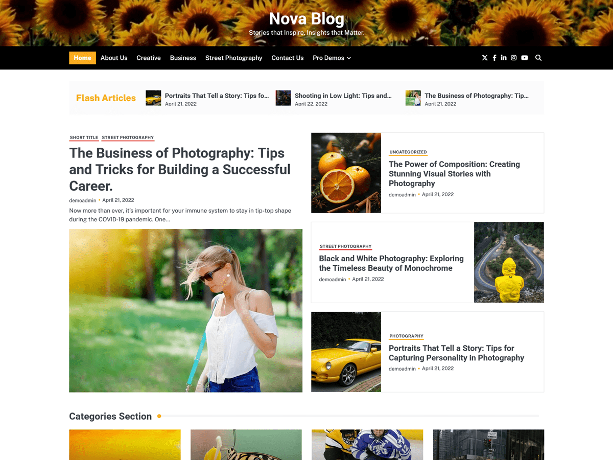 Nova Blog theme screenshot