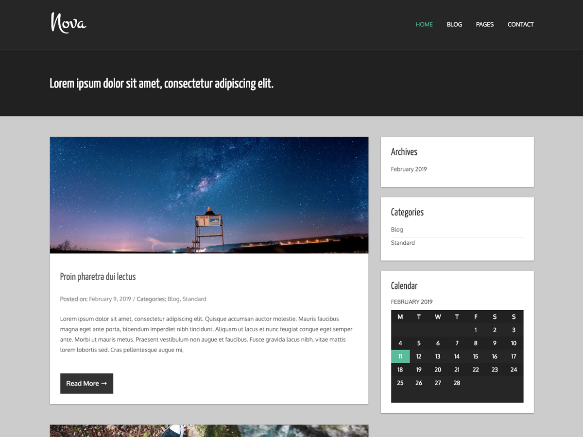 Nova Lite theme screenshot