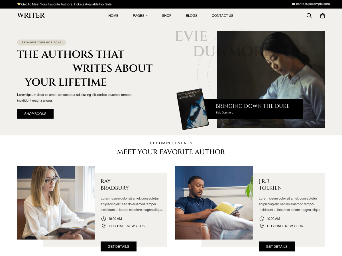 Novel Writer theme screenshot