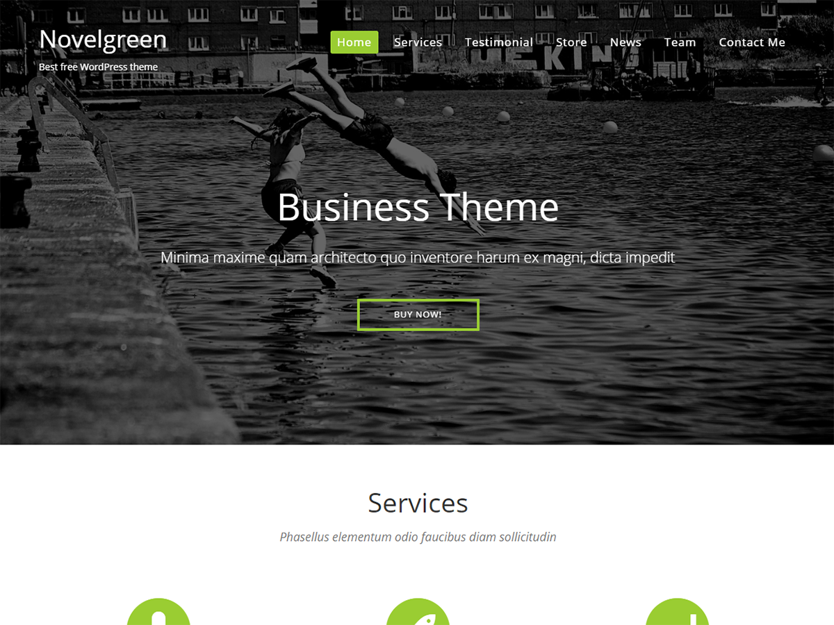 NovelGreen theme screenshot