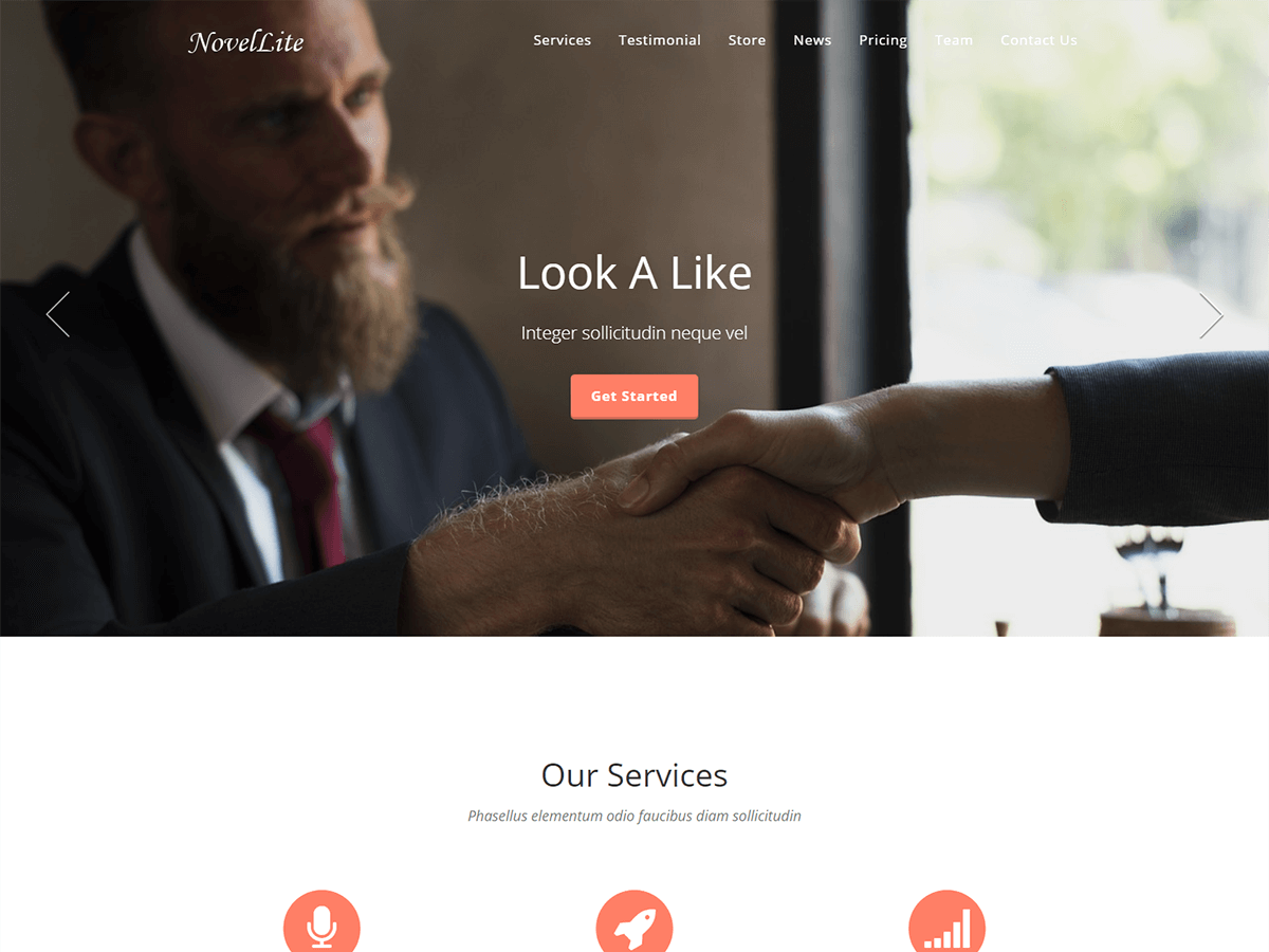 NovelLite theme screenshot