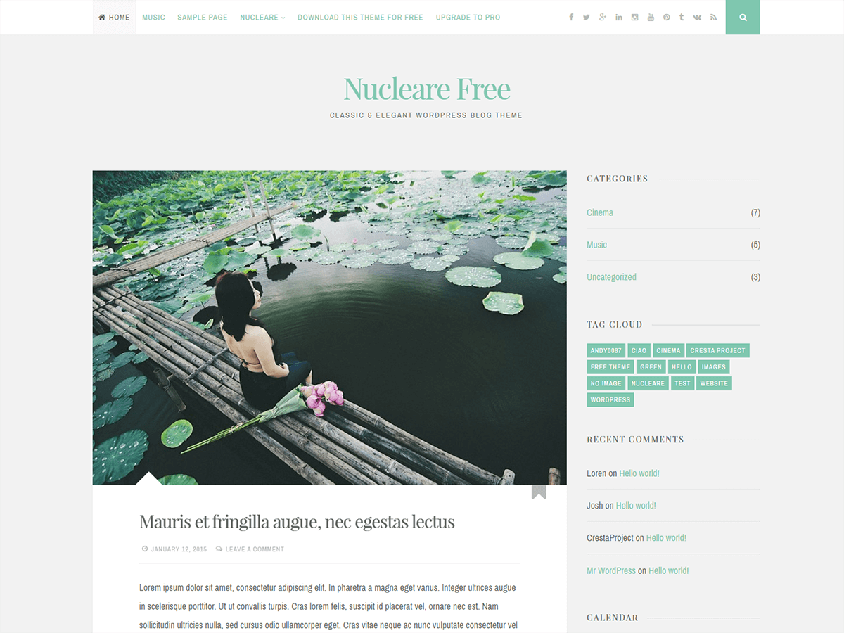 Nucleare theme screenshot