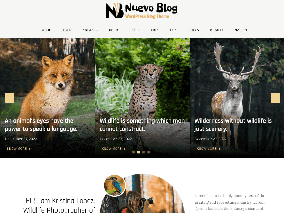 Nuevo Blog theme screenshot