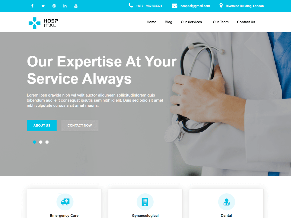 Nursing Service theme screenshot