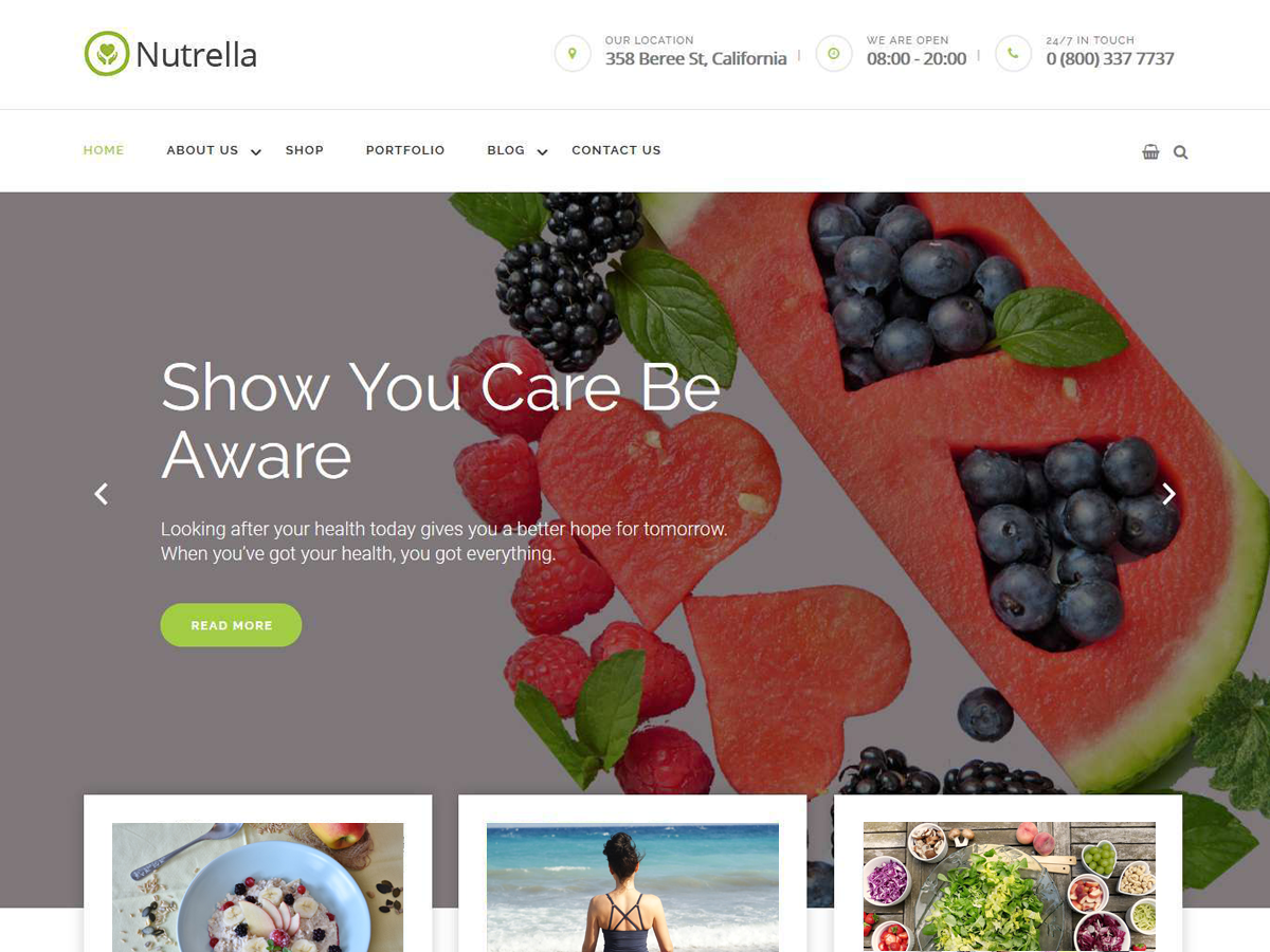 Nutrella theme screenshot