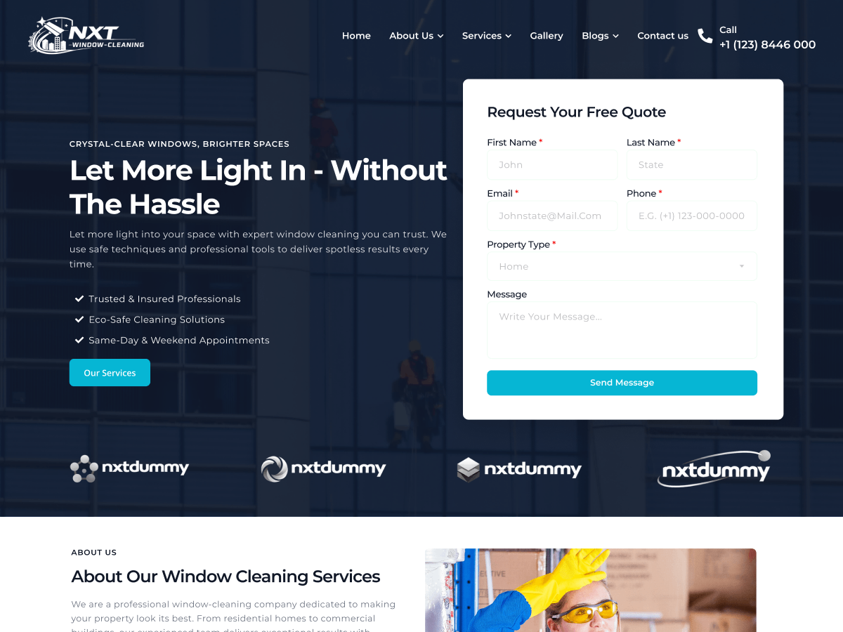 NXT Window Cleaning theme screenshot