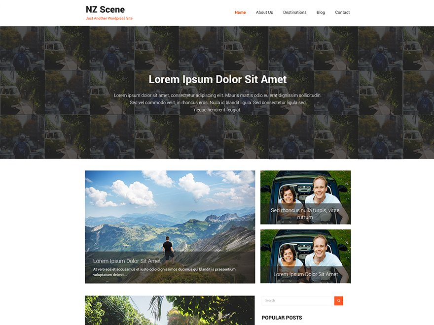 NZ Scene theme screenshot