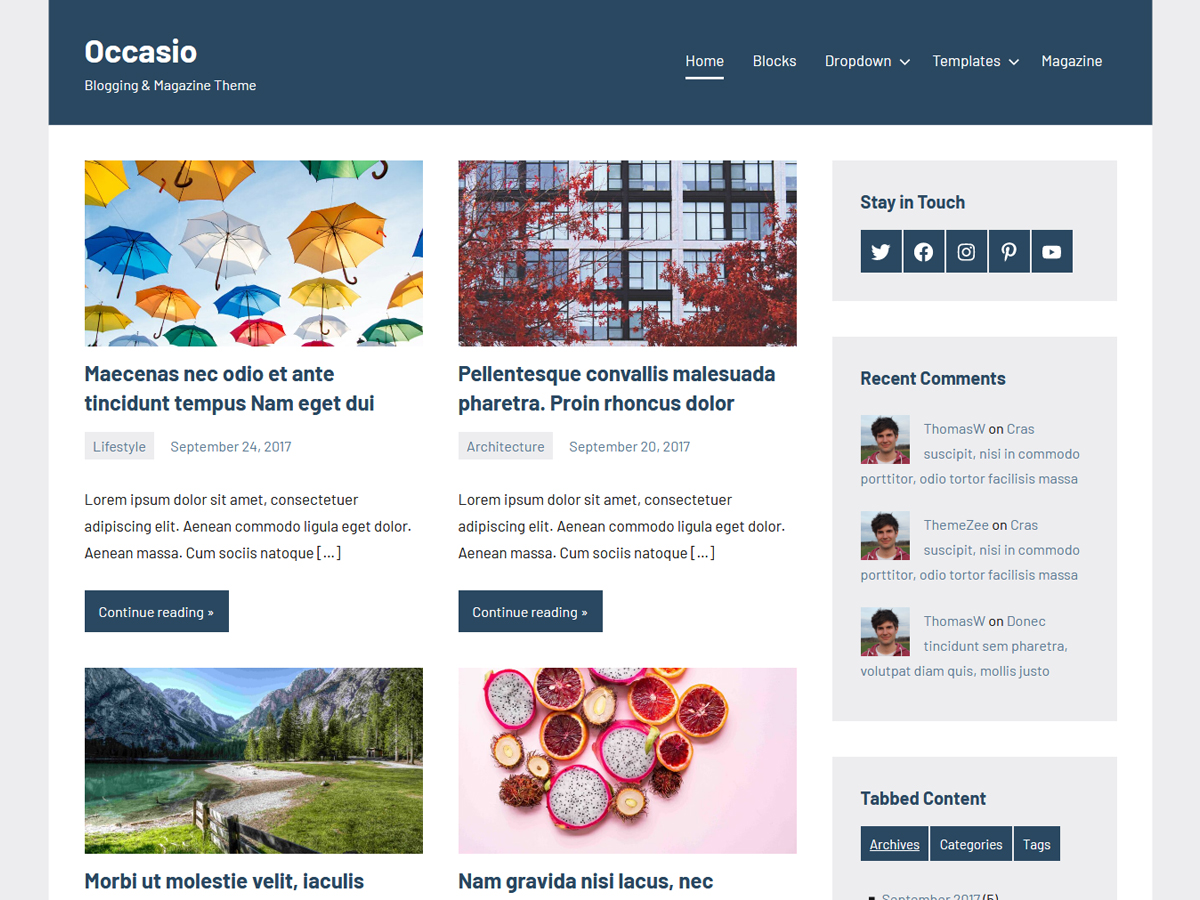 Occasio theme screenshot
