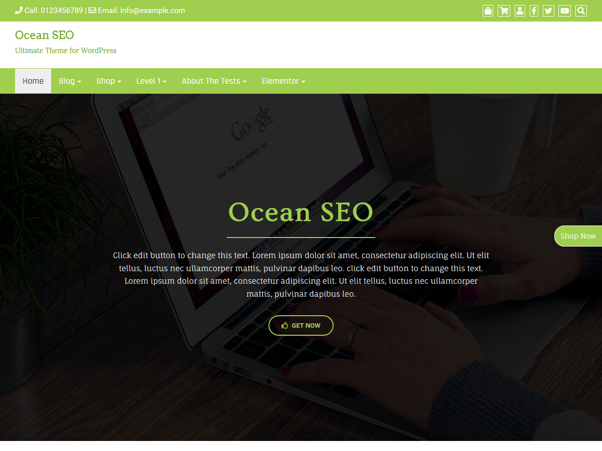 Ocean SEO theme screenshot