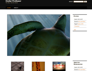 Ocular Professor theme screenshot