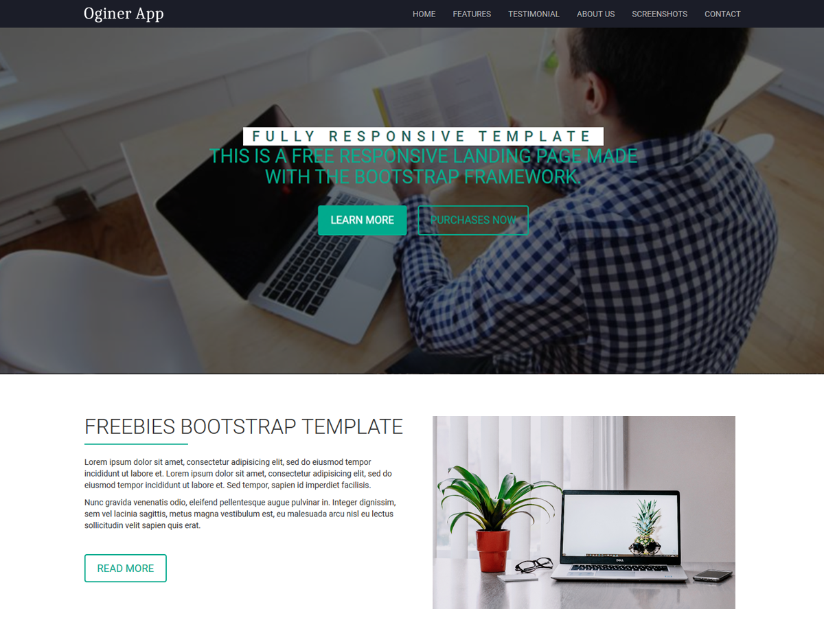 Oginer theme screenshot