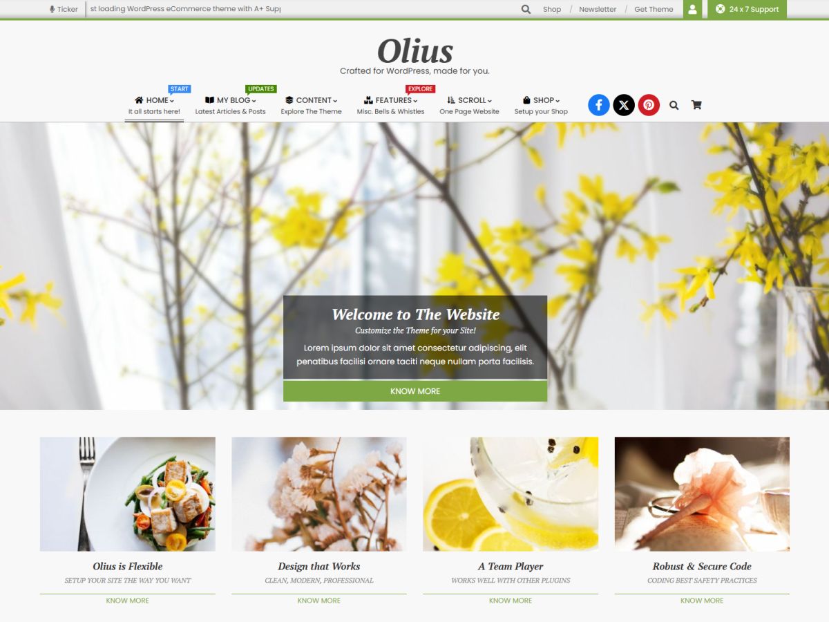 Olius theme screenshot