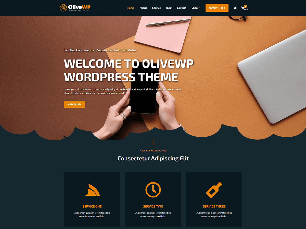 OliveWP theme screenshot