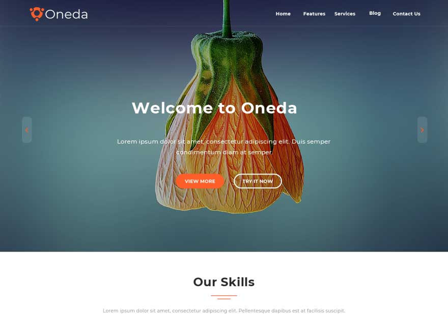 Oneda theme screenshot