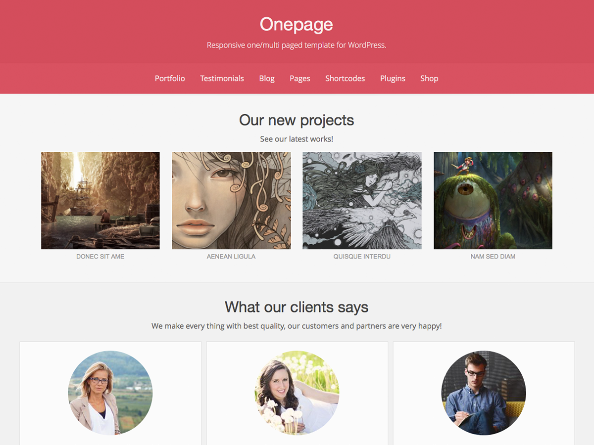 Onepage theme screenshot
