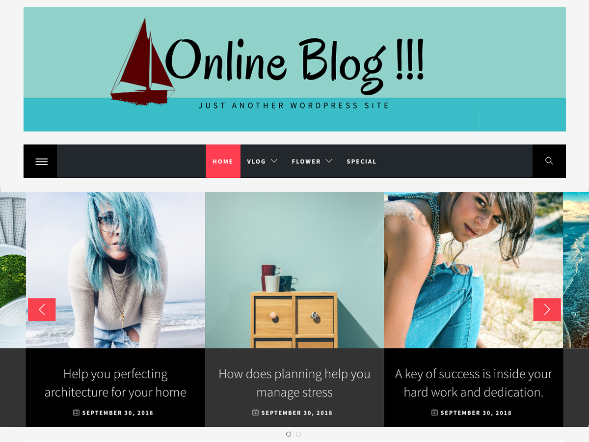 Online Blog theme screenshot