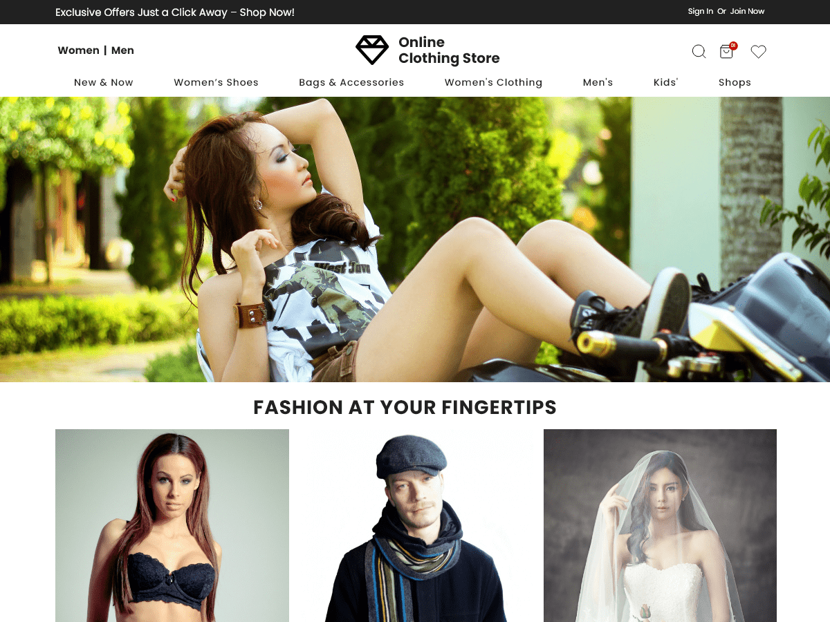 Online Clothing Shop theme screenshot