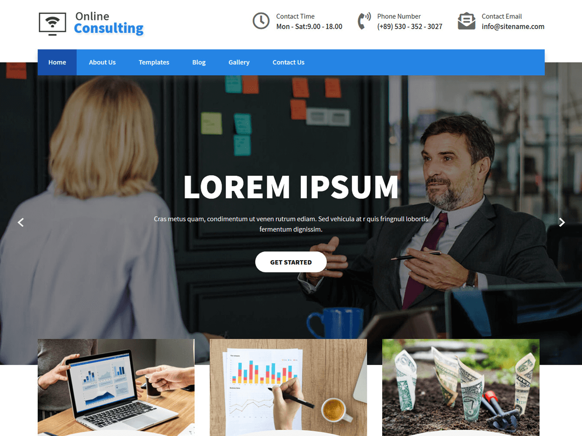 Online Consulting theme screenshot