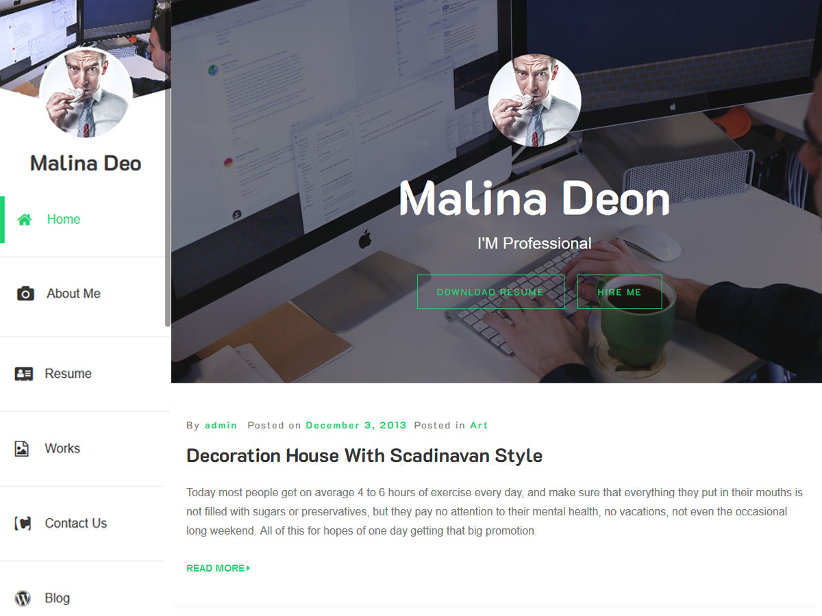Online CV Resume theme screenshot