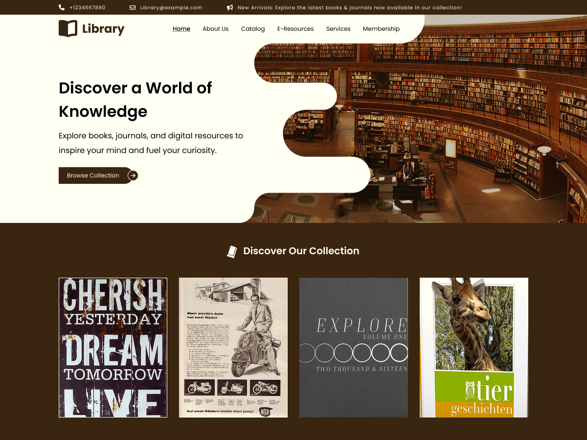 Online Library theme screenshot