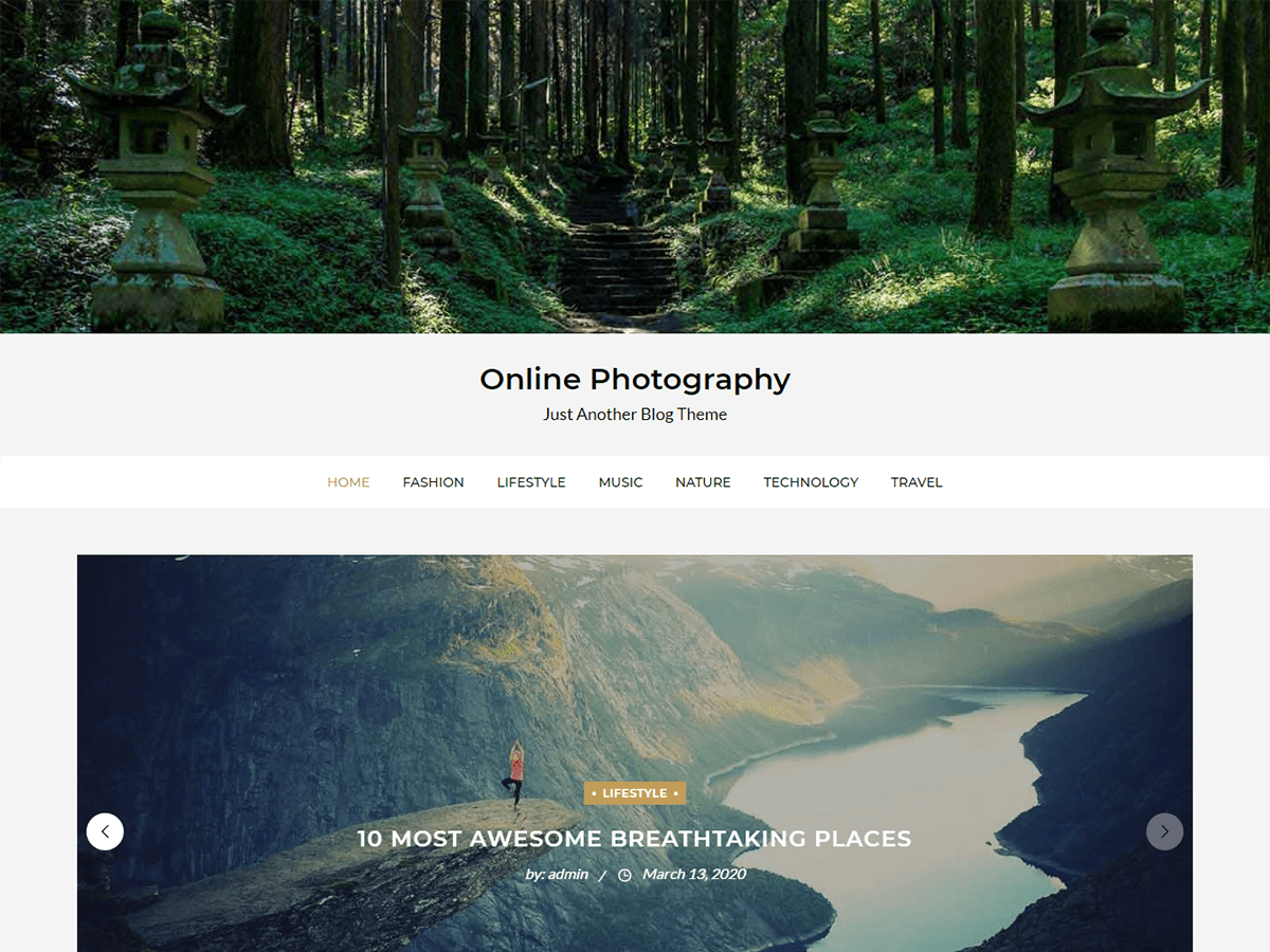 Online Photography theme screenshot