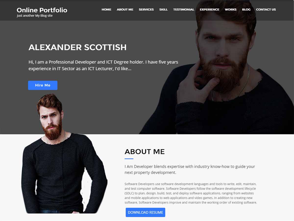 Online Portfolio theme screenshot