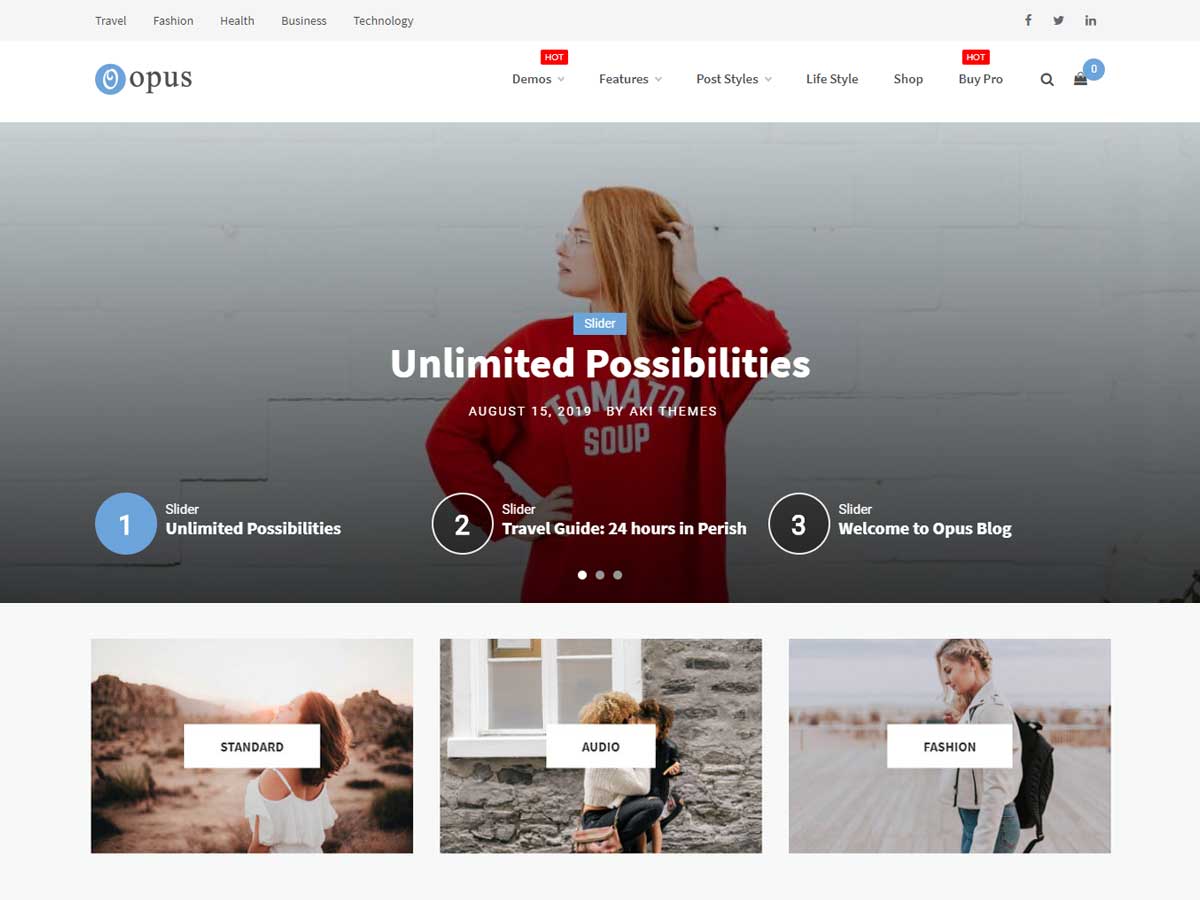Opus Blog theme screenshot
