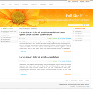 Orange Flower theme screenshot