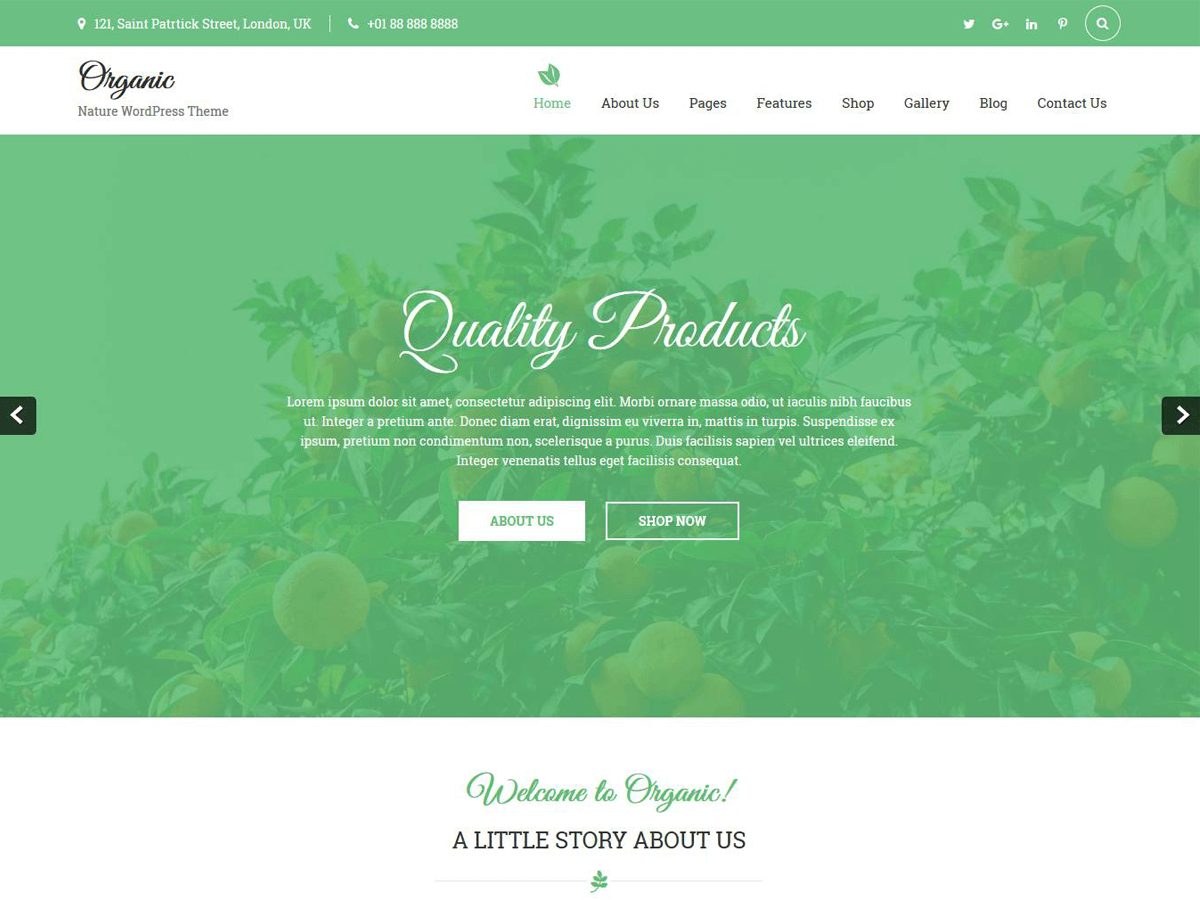 Organic Lite theme screenshot