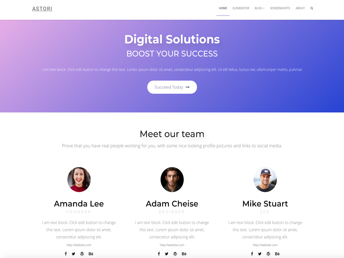 OrionWP theme screenshot