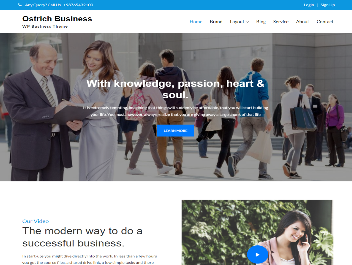Ostrich Business theme screenshot