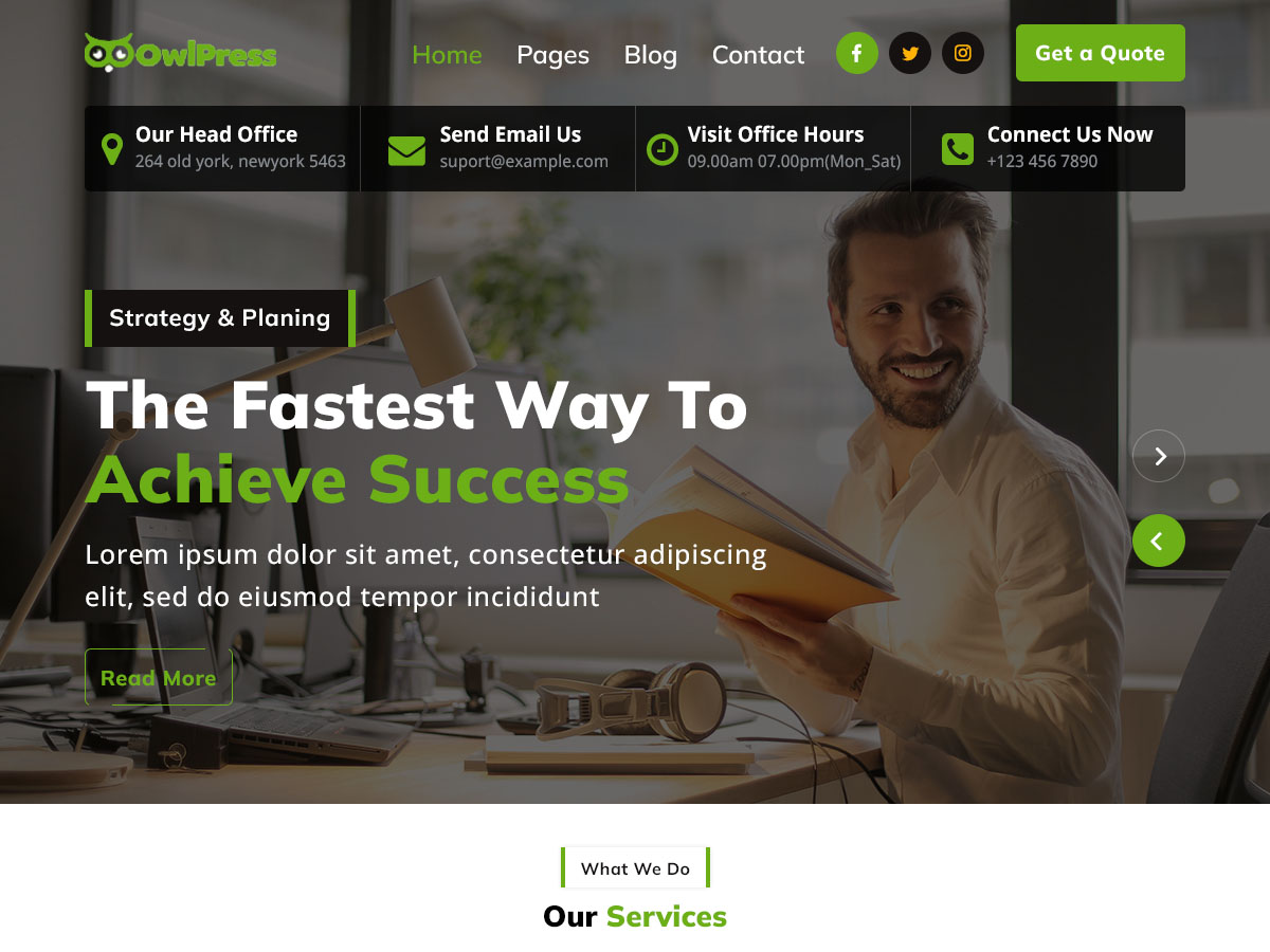 OwlPress theme screenshot