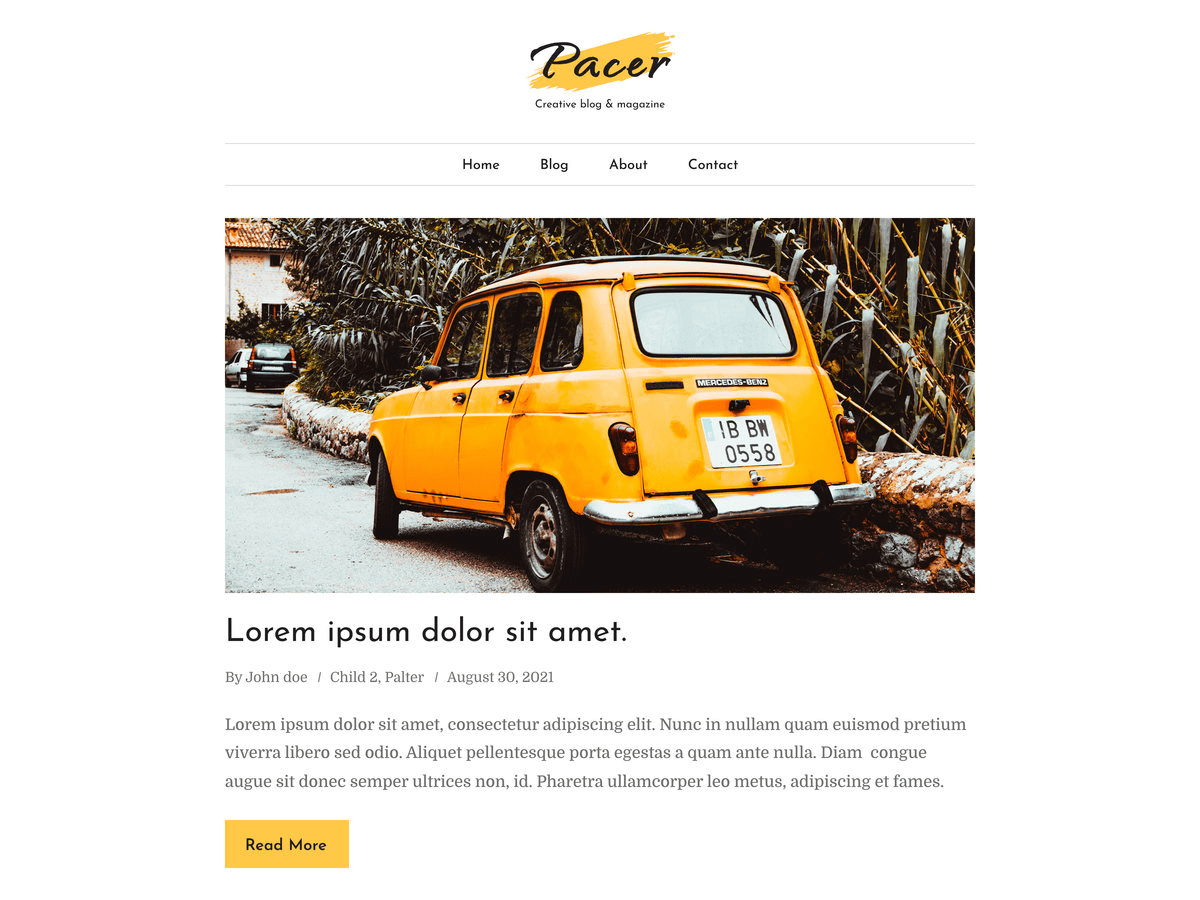 Pacer theme screenshot