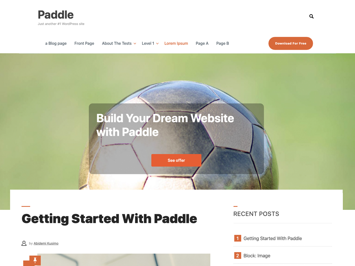 Paddle theme screenshot