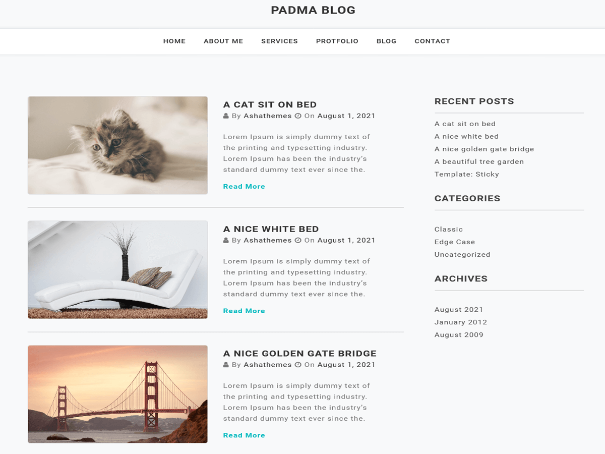 Padma Blog theme screenshot
