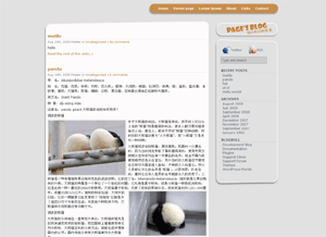 page-shippou theme screenshot