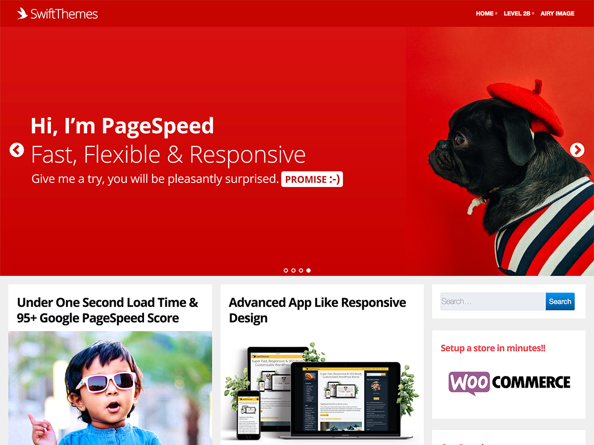 Page Speed theme screenshot