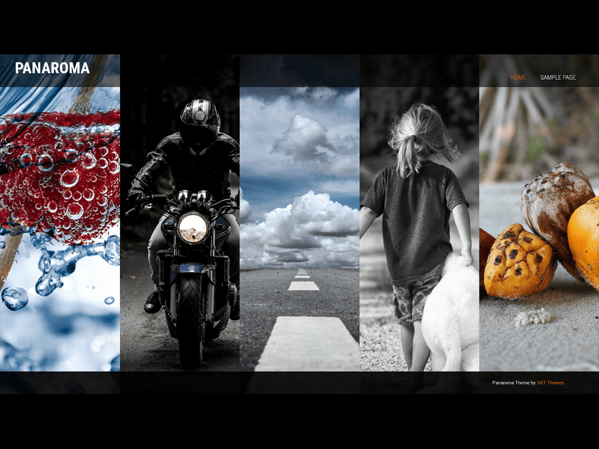 Panaroma theme screenshot