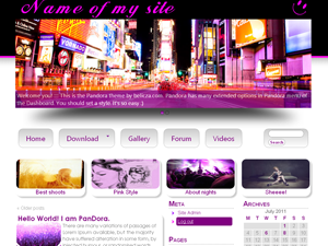 pandora theme screenshot