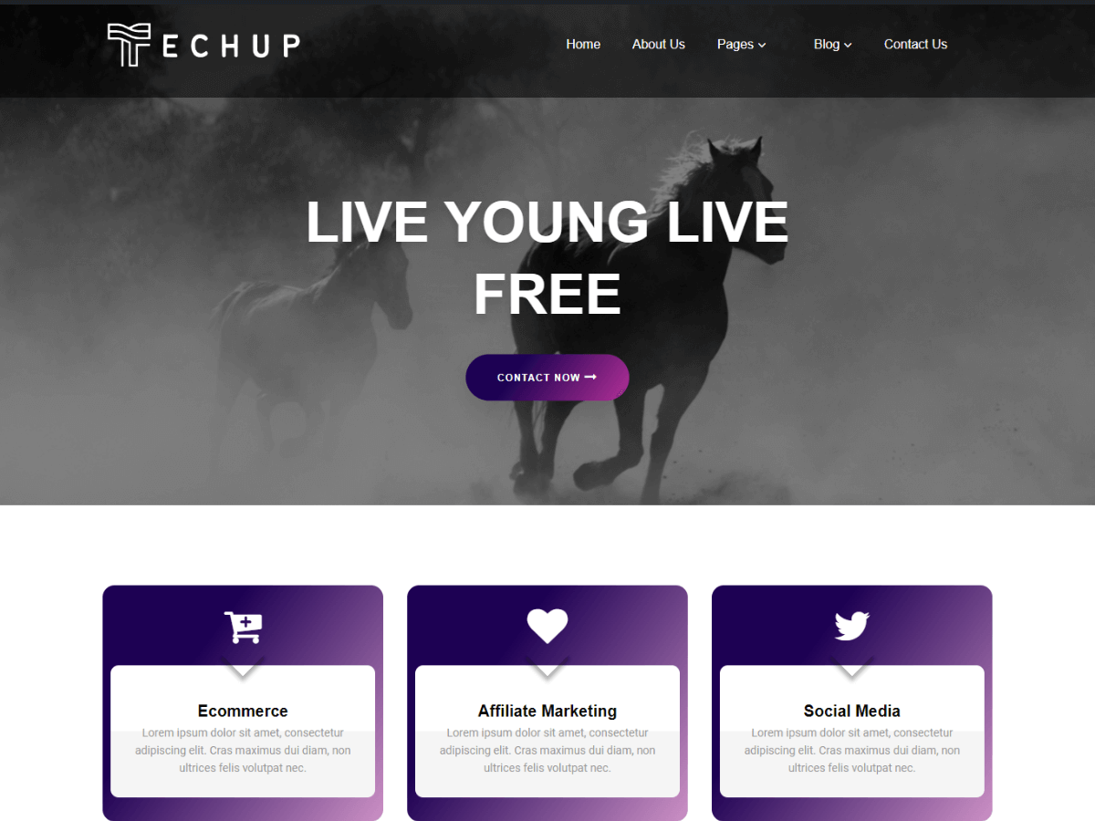 Parallax Techup theme screenshot