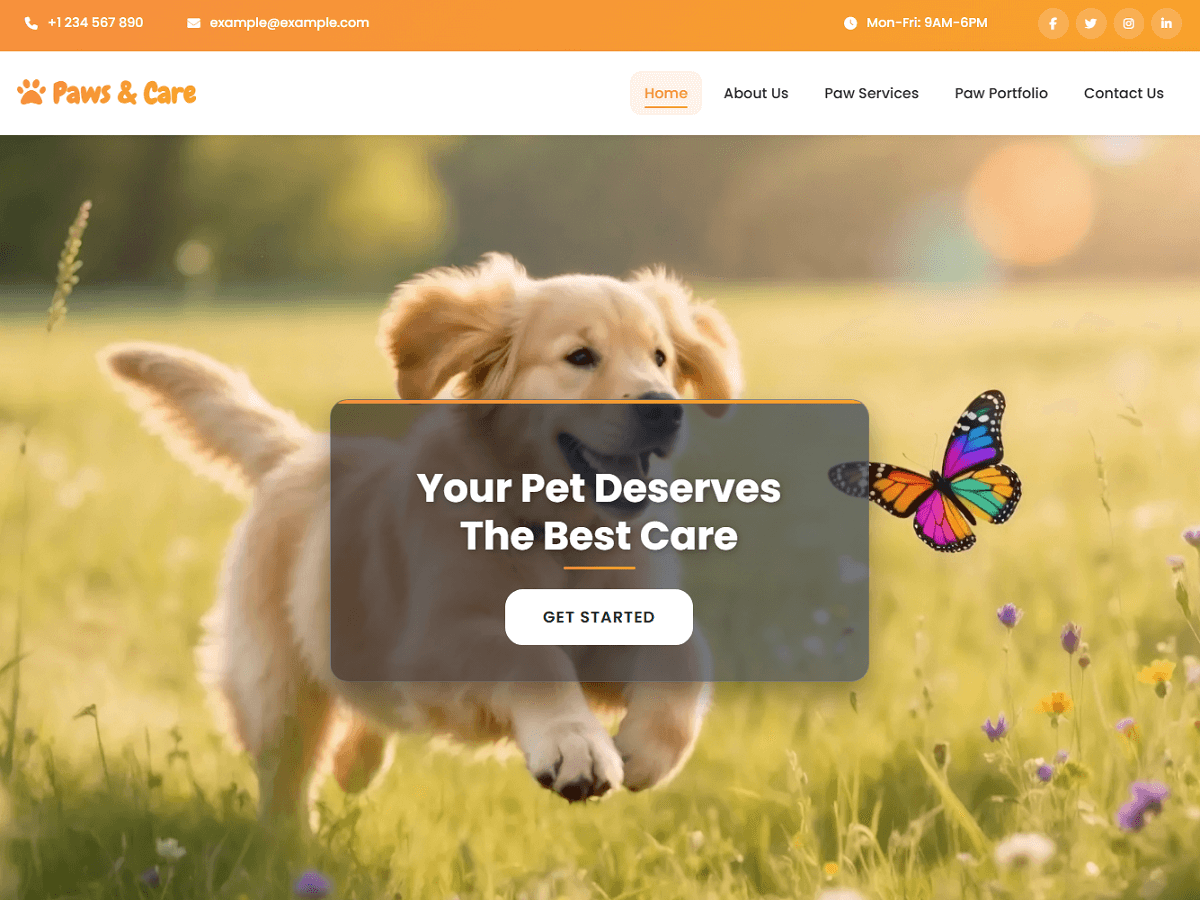 Paws and Care theme screenshot