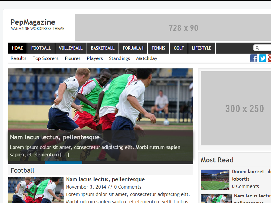 PepMagazine theme screenshot