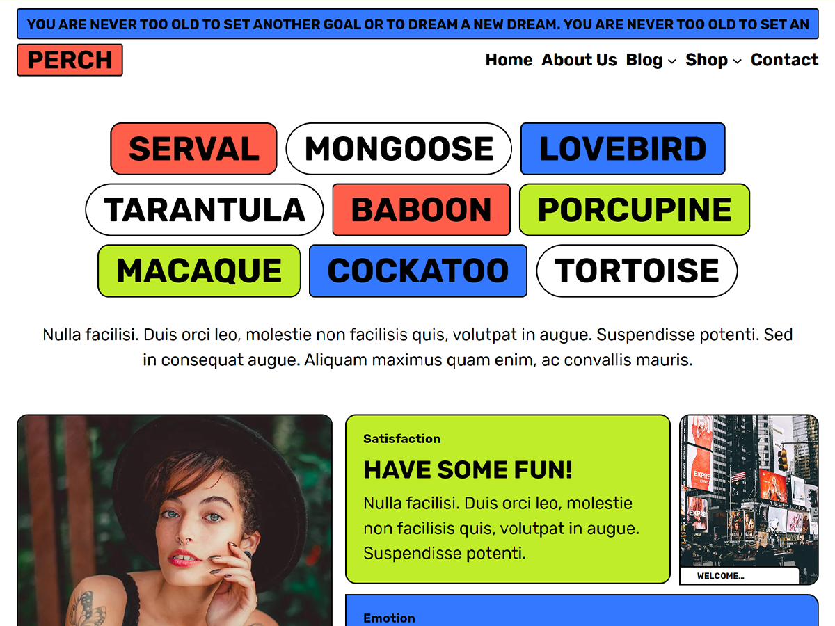 Perch theme screenshot