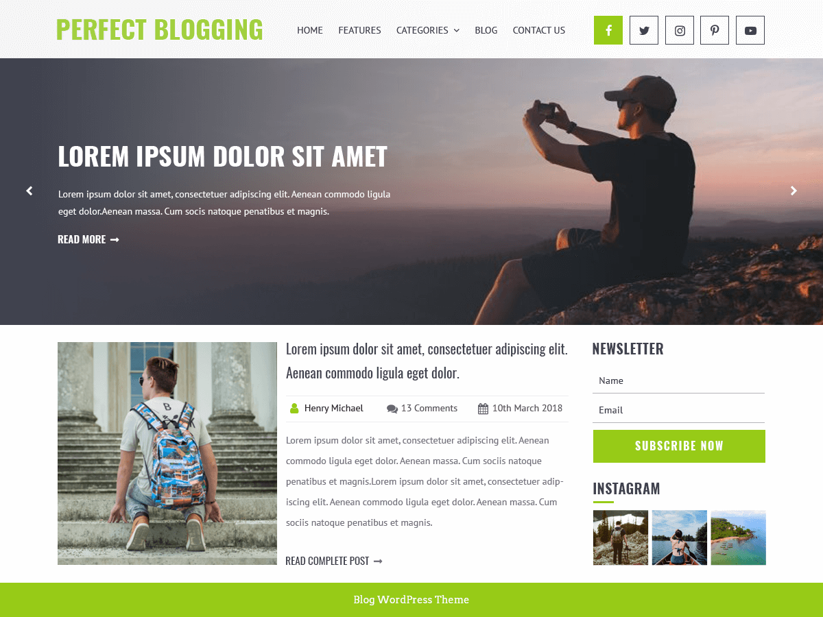 Perfect Blogging theme screenshot