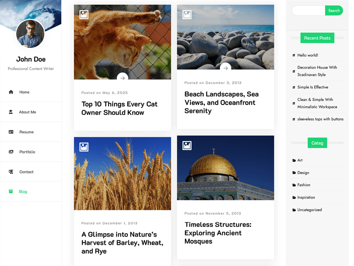 Personal Resume Portfolio theme screenshot