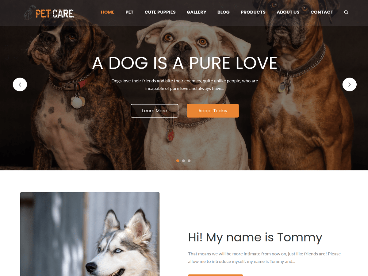 Pet Care theme screenshot