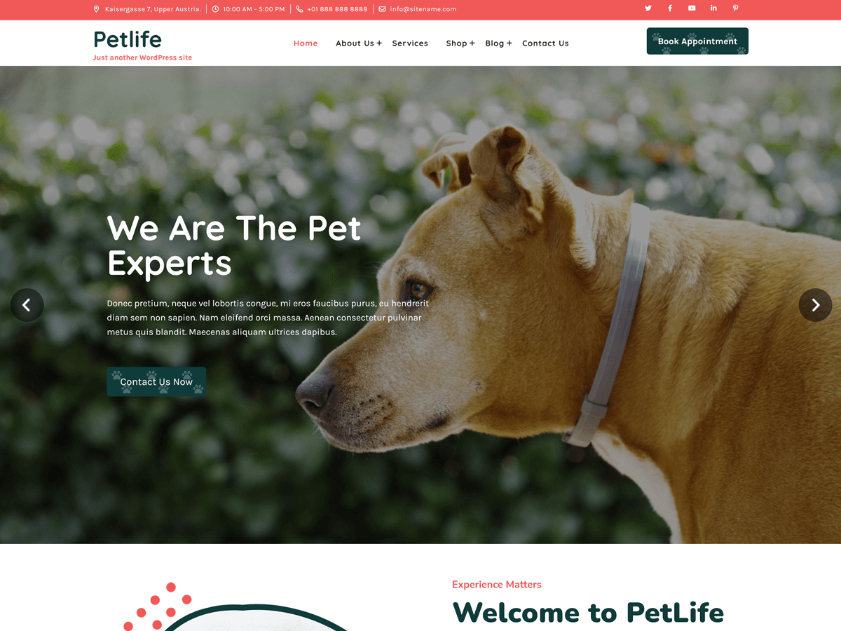 Petlife Lite theme screenshot