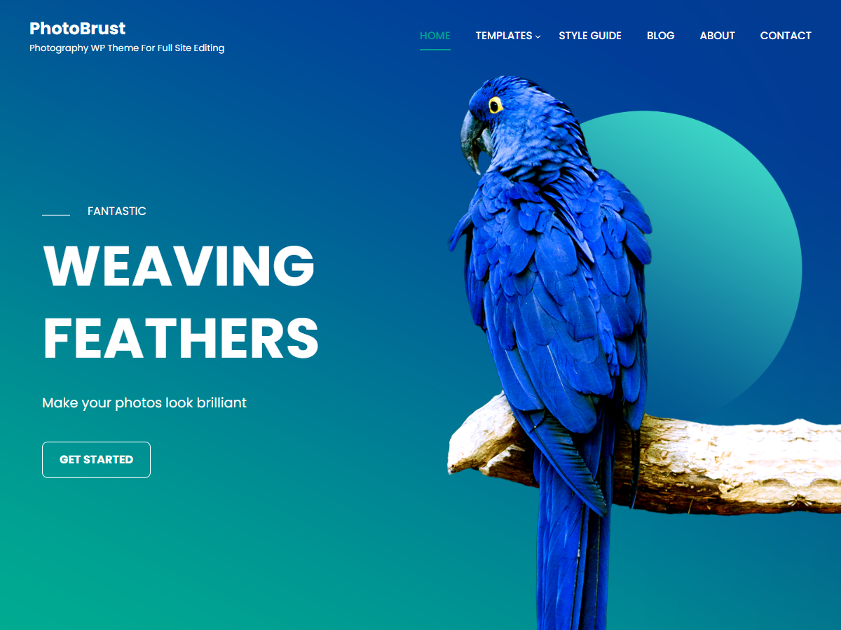 PhotoBrust theme screenshot