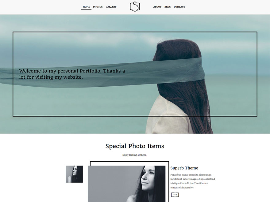 Photographer theme screenshot