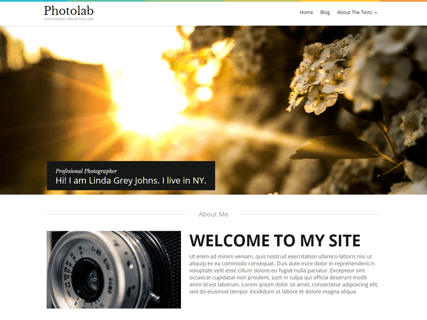 Photolab theme screenshot